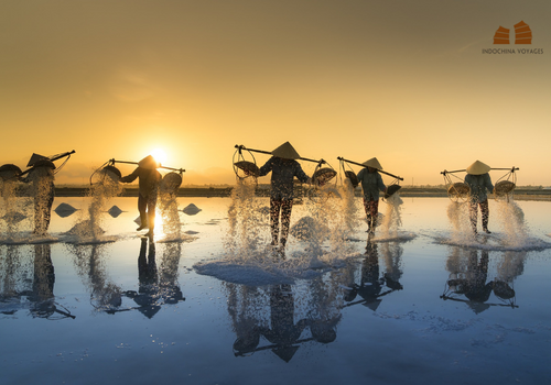 vietnam farmers harvesting salt