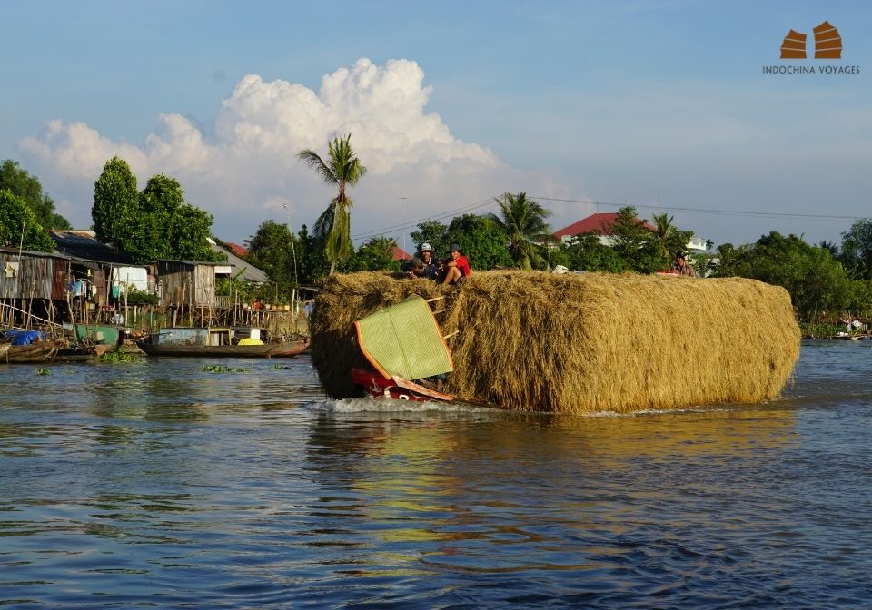 local life in Mekong Delta