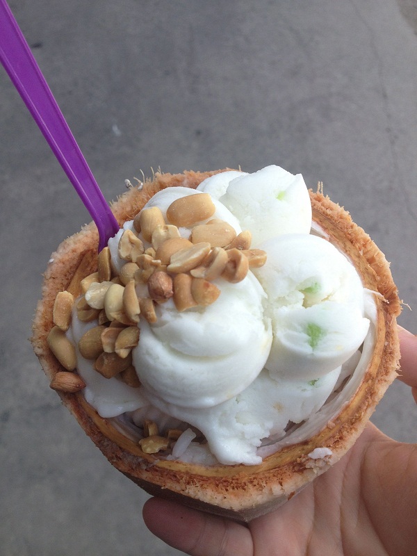 Coconut-Milk-Ice-Cream