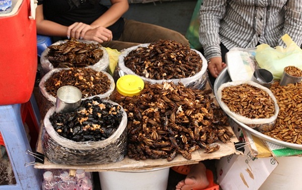  A variety of insects which can be found easily in Cambodia's markets