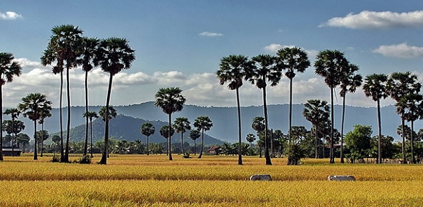 Takeo Province, the land to discover in Cambodia