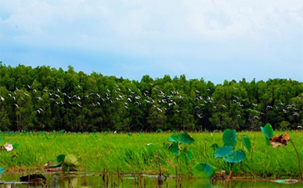 Peaceful scenes of the Mekong Delta’s countryside in Bang Lang Stork Garden
