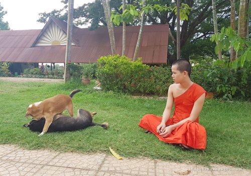 Luang Prabang Marvelous Day Tour
