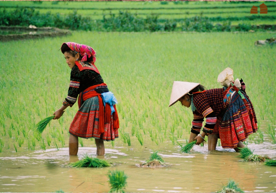 Explore Ha Giang Local Daily Life