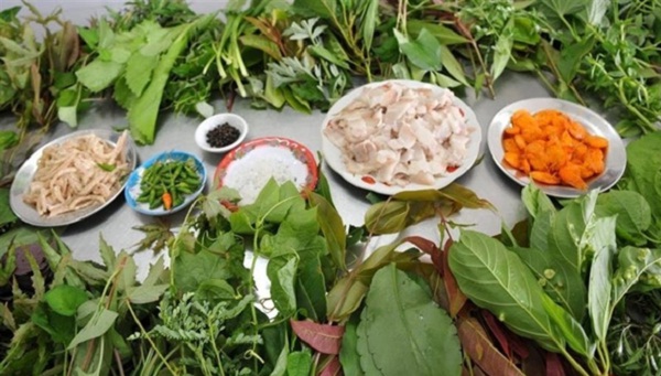 Forest leaf Hotpot