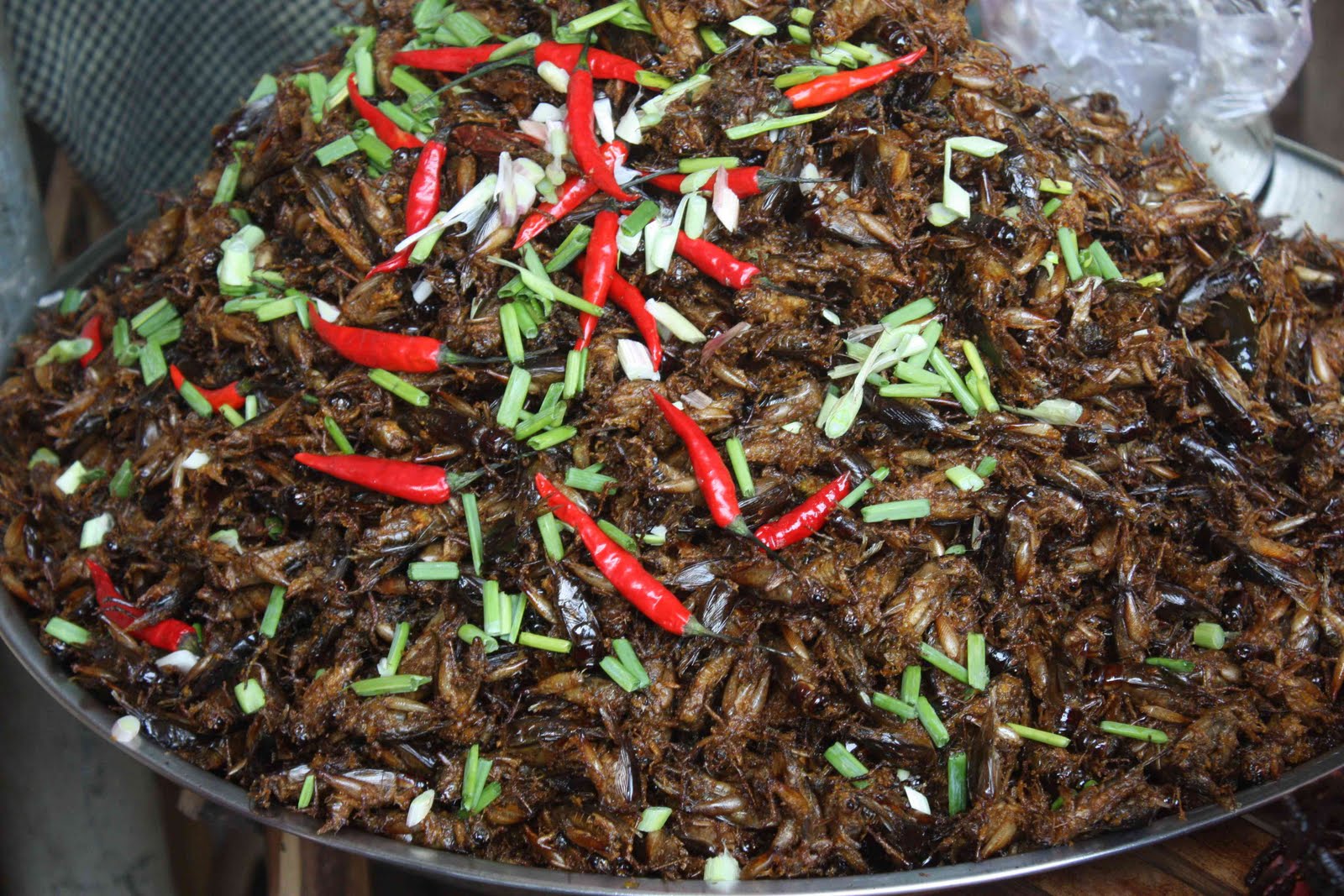 Crickets are fried with chili, a tasty food in Siem Reap’s restaurants