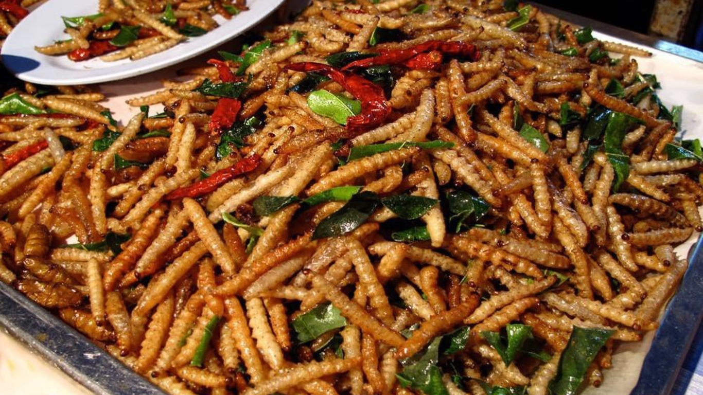 Stranger dishes made from insects in Laos (Image: Tạp chí Lào-Việt)
