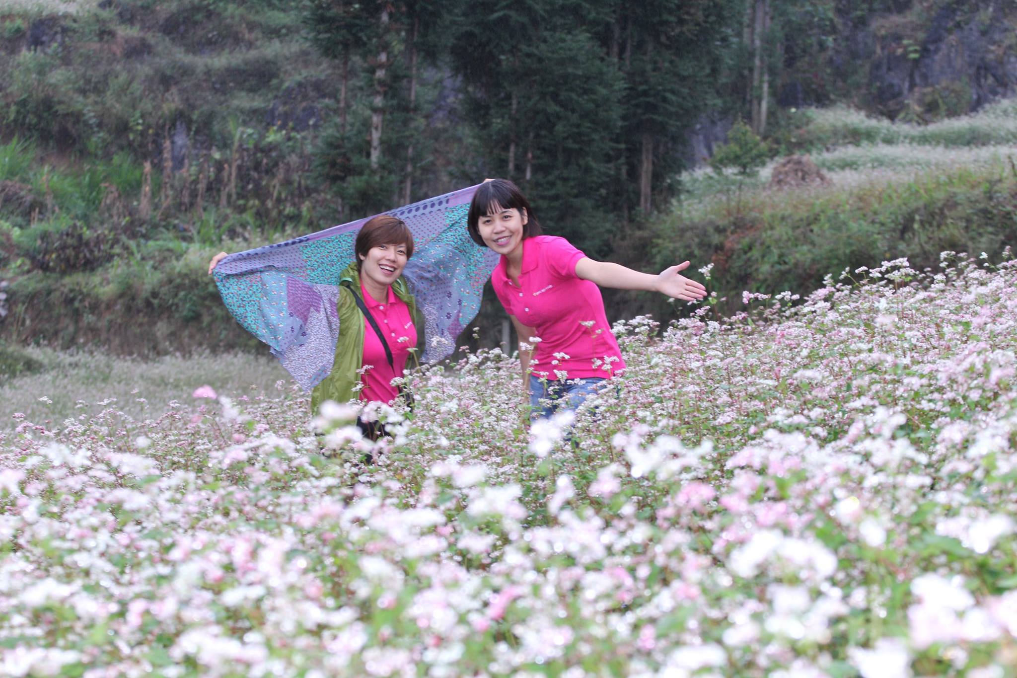 Bucket-flowers-in-Long-Luong-attracts-many-tourists-every-November