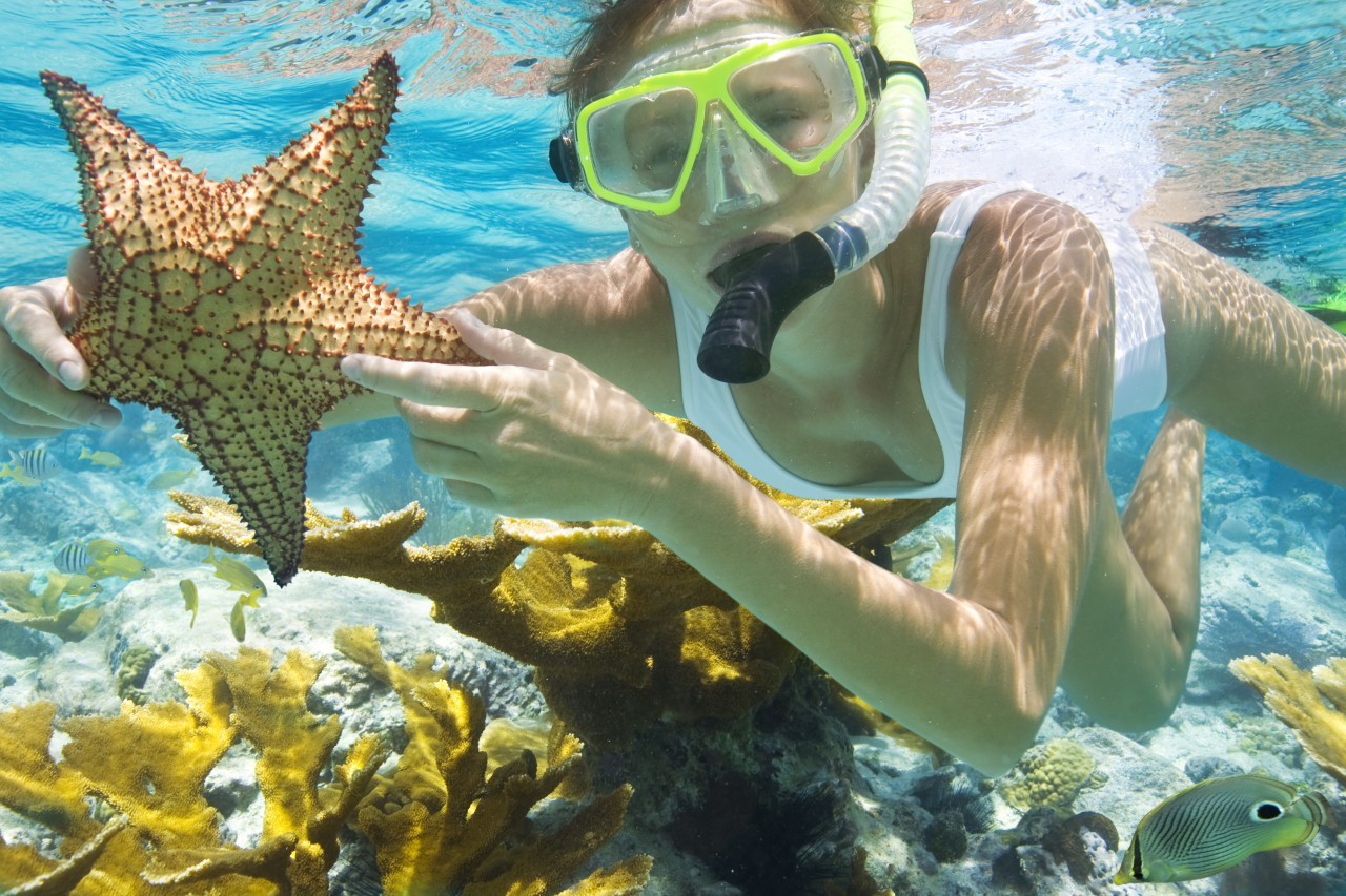 Have you tried diving, snorkelling and boat trips in Phu Quoc?