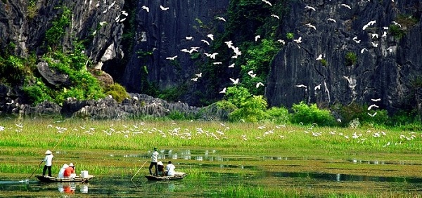 the-beauty-of-Van-Long-lagoon