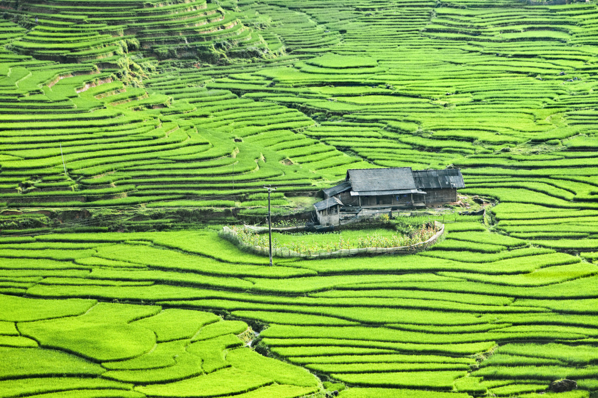 The beauty of Sapa