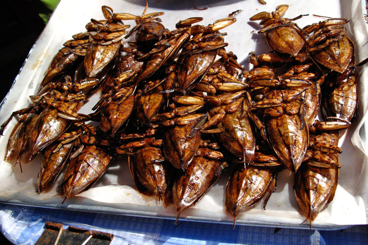 Fried-insects-in-Thailand-1