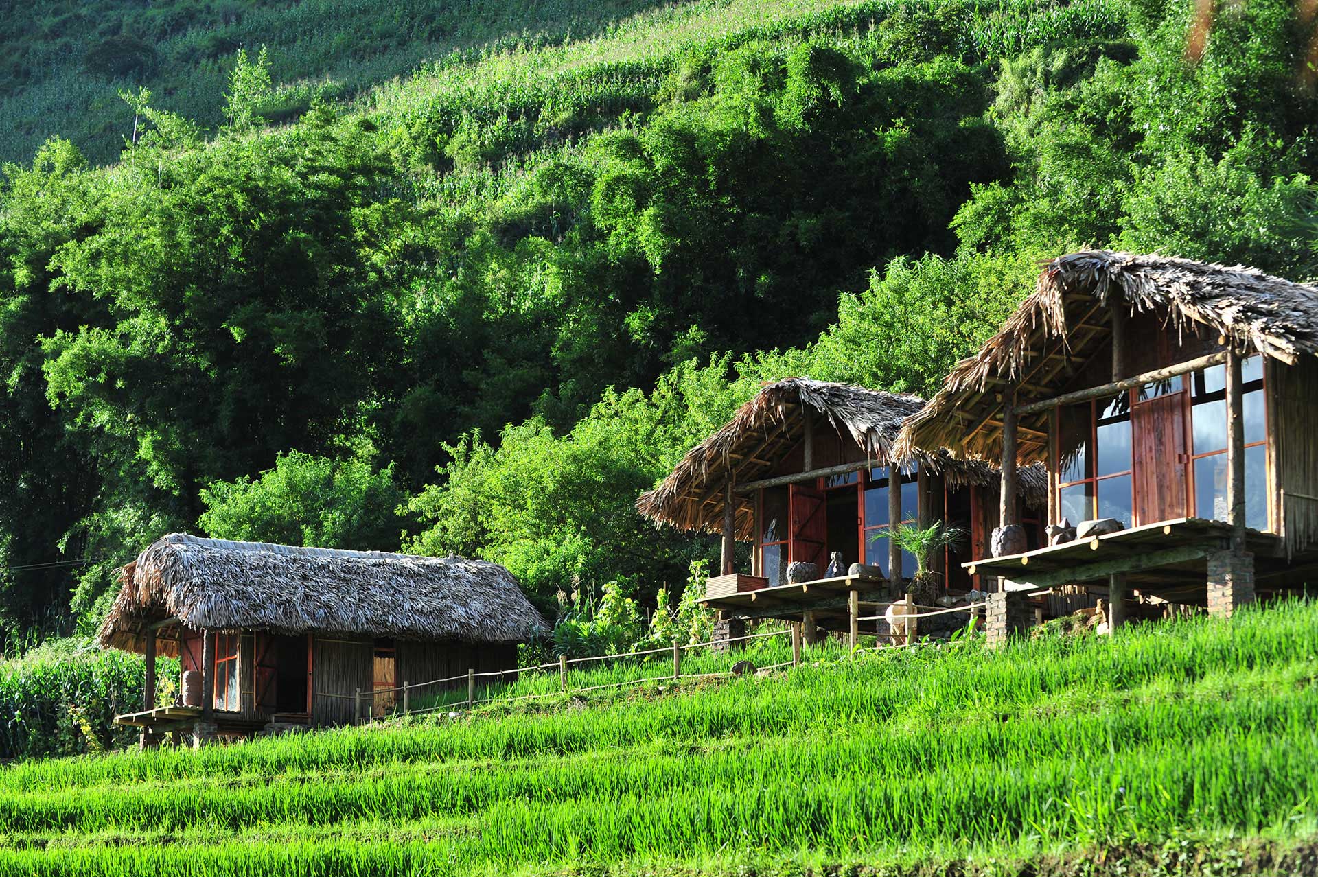 Green space around Eco Palms House in Sapa