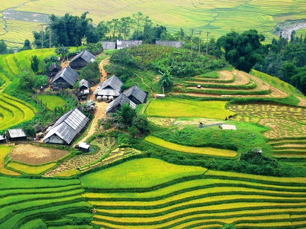 The beauty of Sapa seen from above in summer