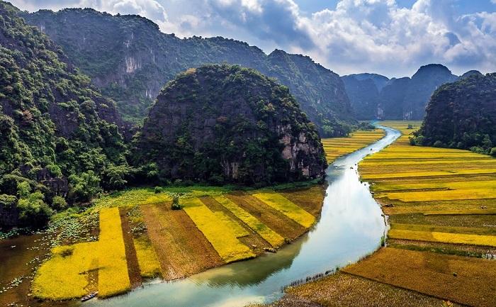 Are you ready to enjoy the gorgeous view of the golden rice fields in Tam Coc