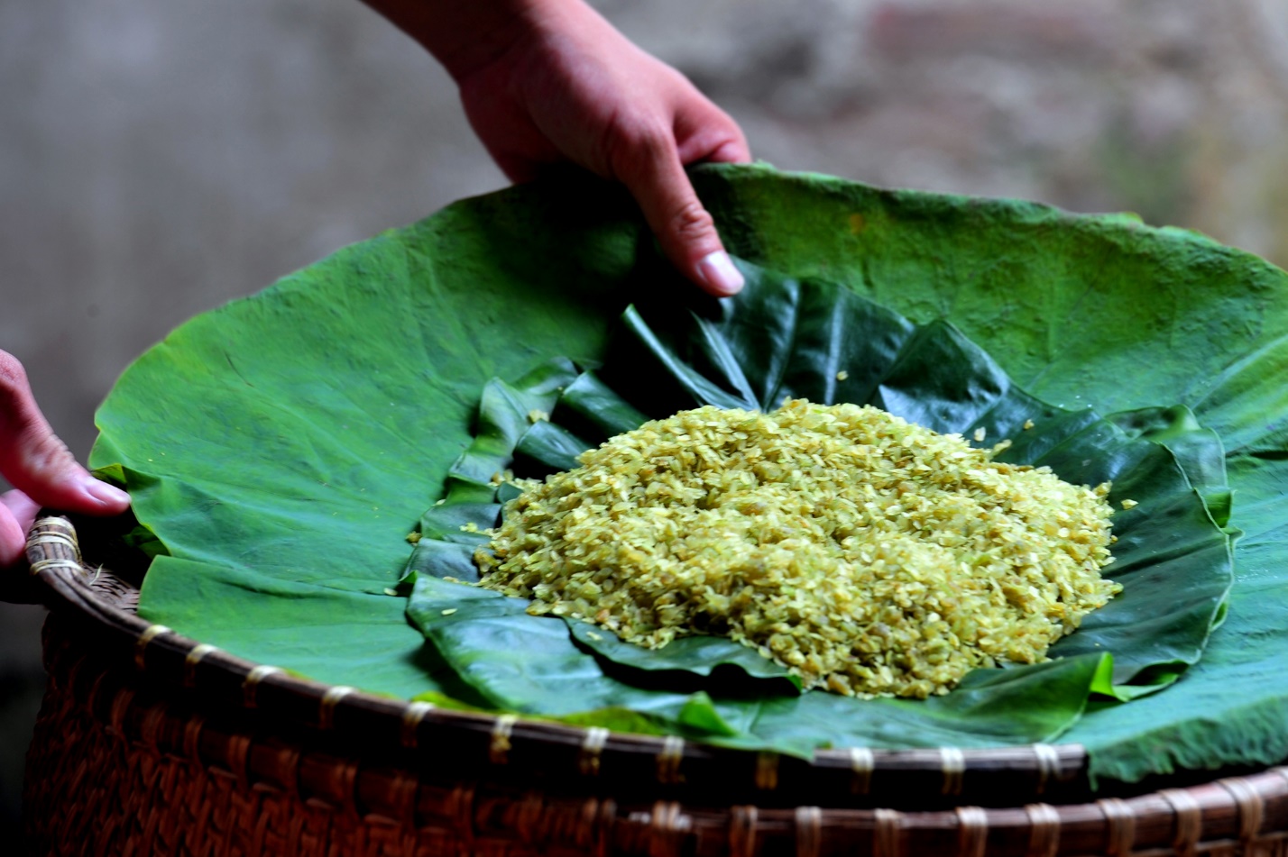 Beautiful young sticky rice on lotus leave