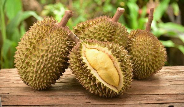 Durian 