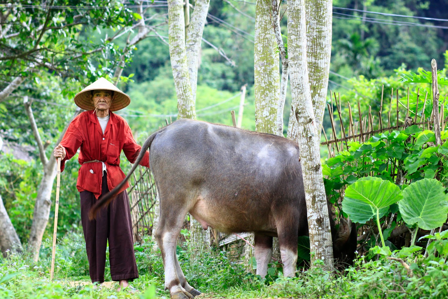 Hieu village attracts tourists for its simplicity