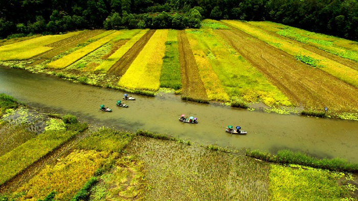 Ngo Dong River is a long waterway that brings all tourists to the beautiful Tam Coc