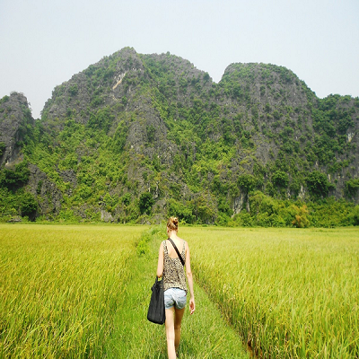 Tourists-walk-through-the-paddy-fileds-in-Tam-Coc