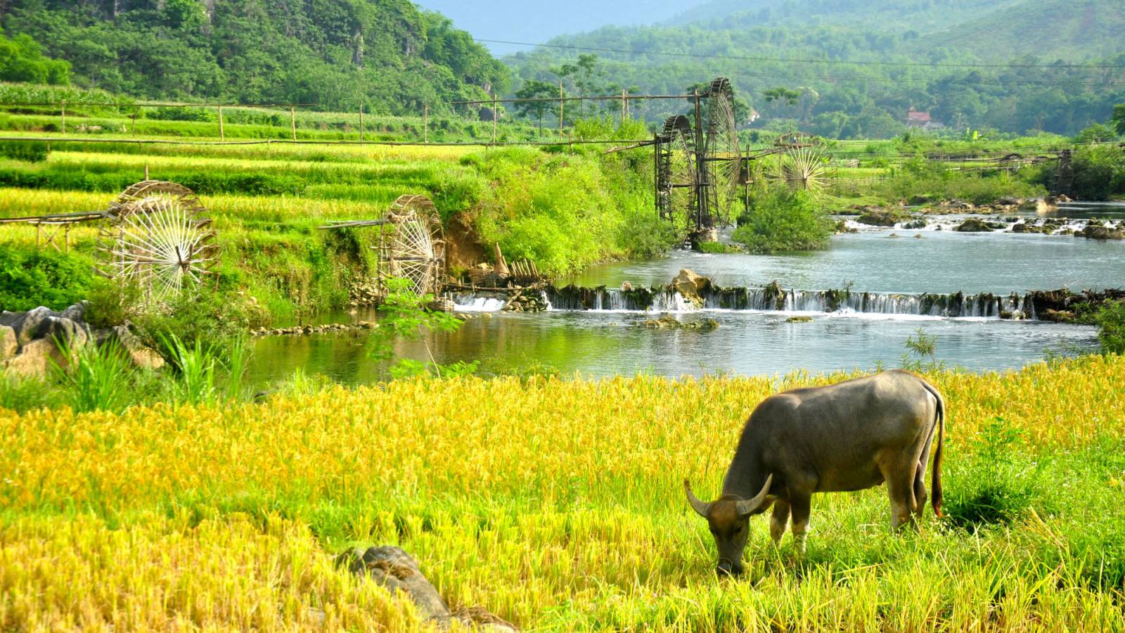 Pu Luong – A hidden gem of Northern Vietnam