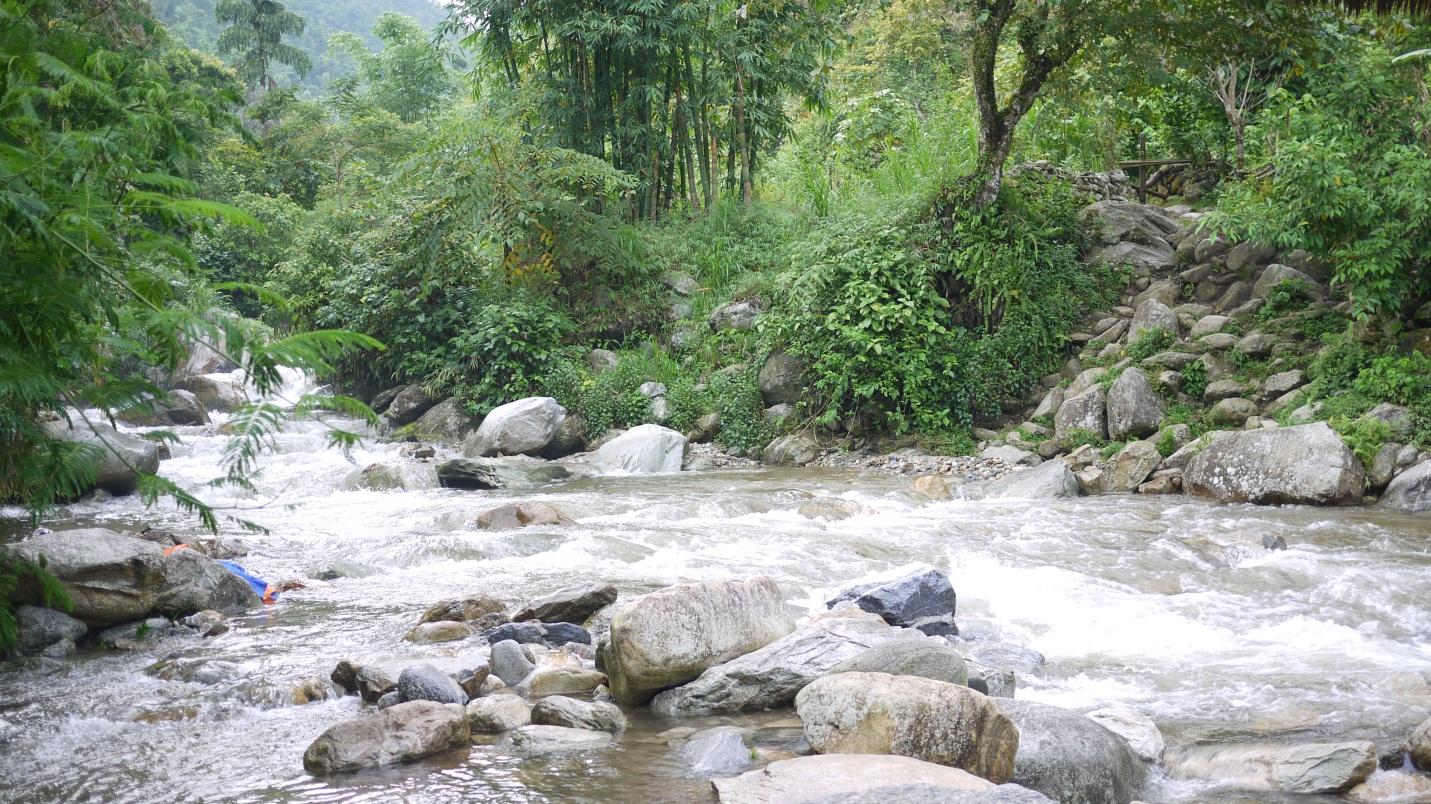 Refreshing stream next to the lodge