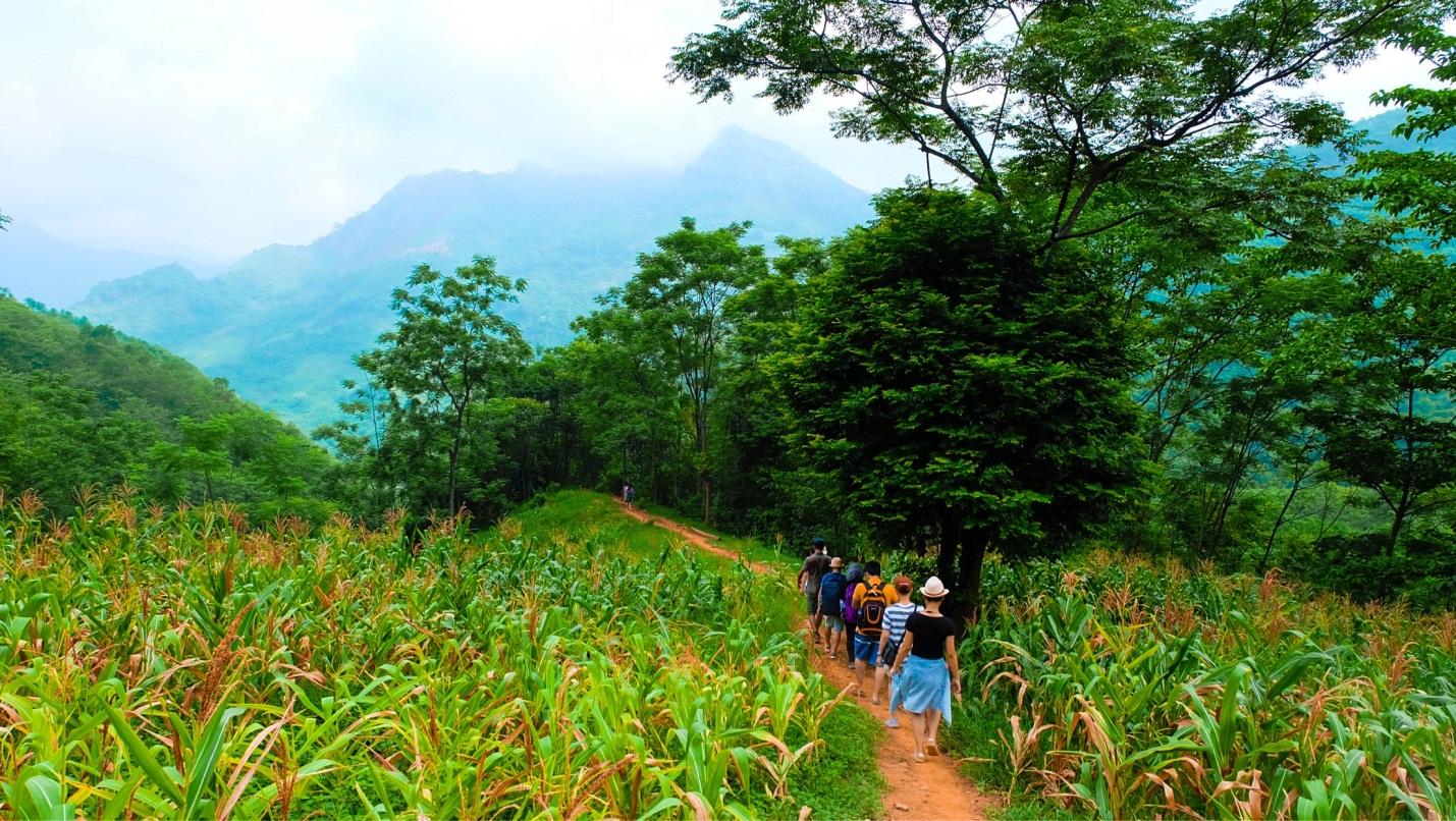 We trek through a village of Muong people and through the mountains, corn fields, and green forests