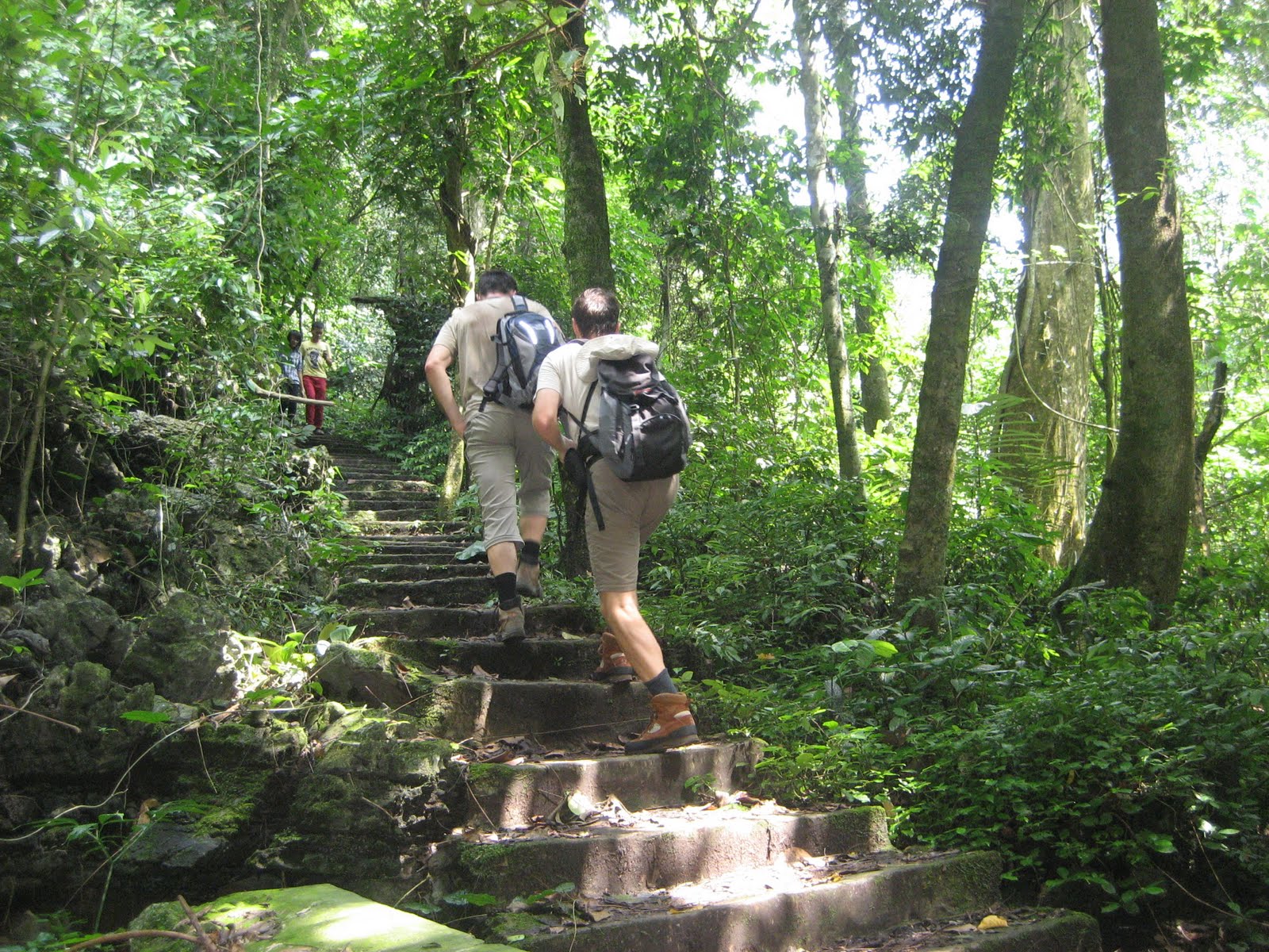 Trekking in Cuc Phuong National Park