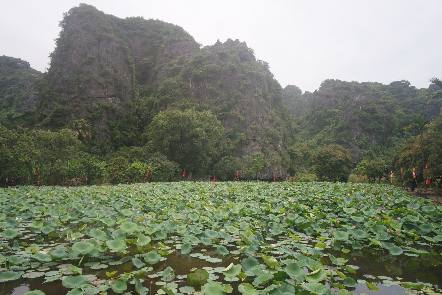 Tam Coc scenery from the boat 