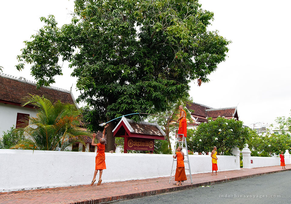 The-monks-in-Luang-Prabang