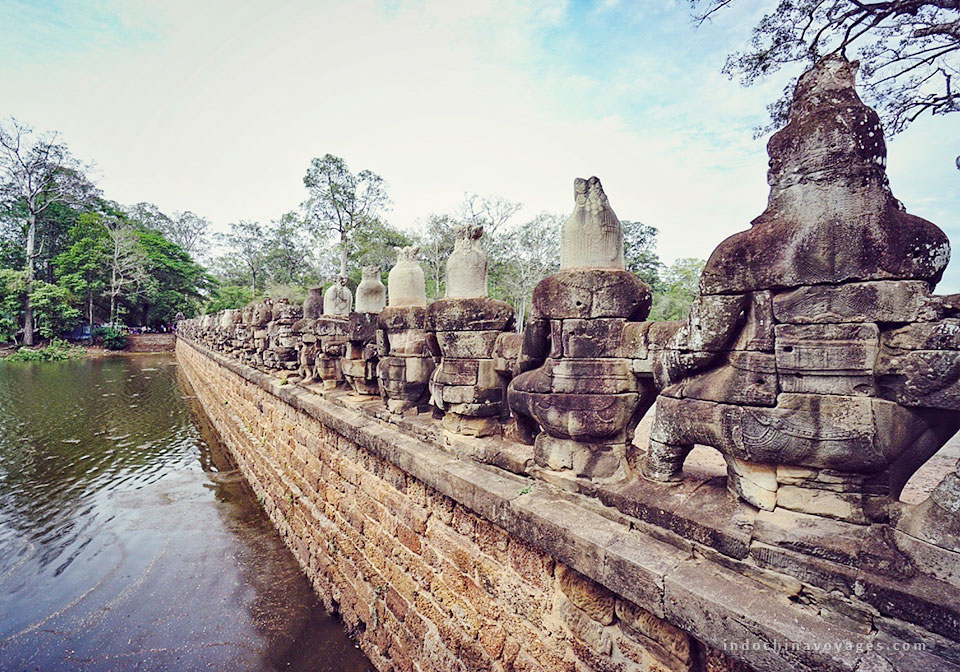 visiting the jungle covered temple of Ta Prohm is an incredible sight