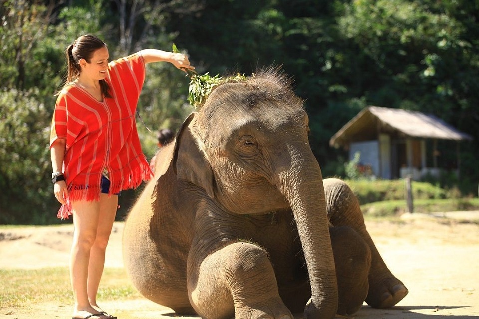 Thailand_itinerary_1_week_elephant_caring