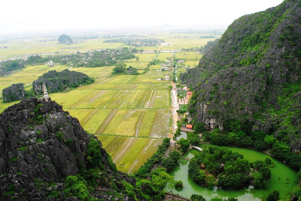 Rice Field from Peak of Mua Cave