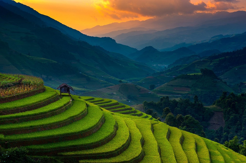 Mu Cang Chai