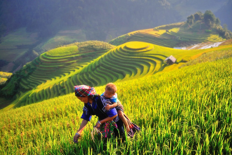 An ethnic mother carries the infant on her back