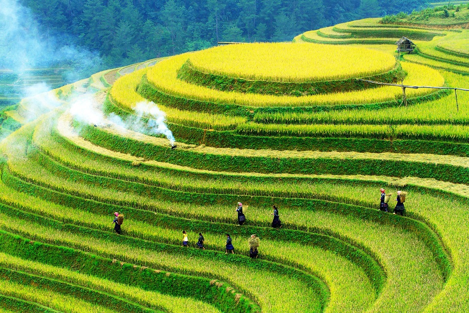 Mu Cang Chai – The land of the most beautiful rice terraces in Vietnam