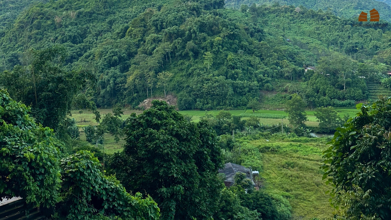 Excellent view from Ba Be National Park