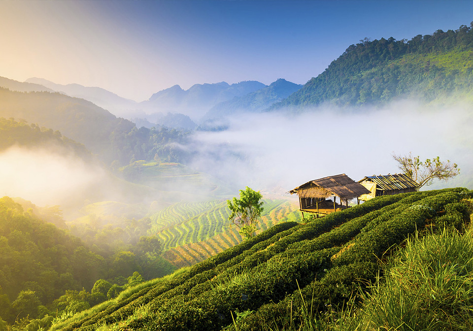 Chiang Mai