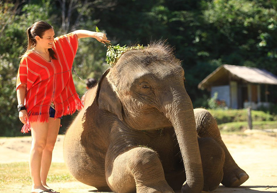 elephant sanctuaries in thailand