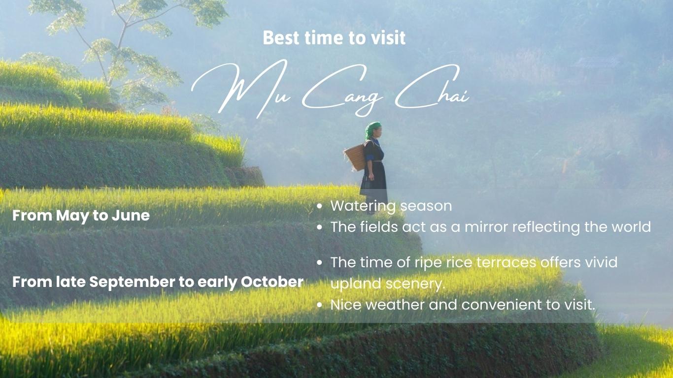 Best time to visit Mu Cang Chai