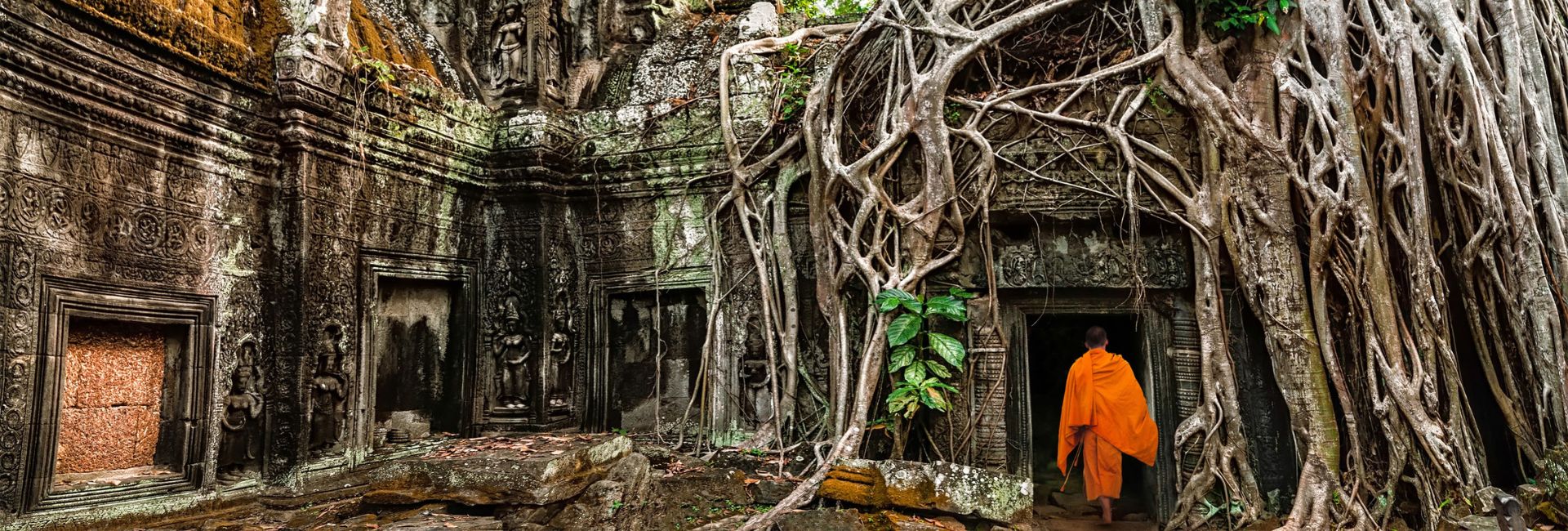 Ta Prohm Temple: A complete guide to understand and visit