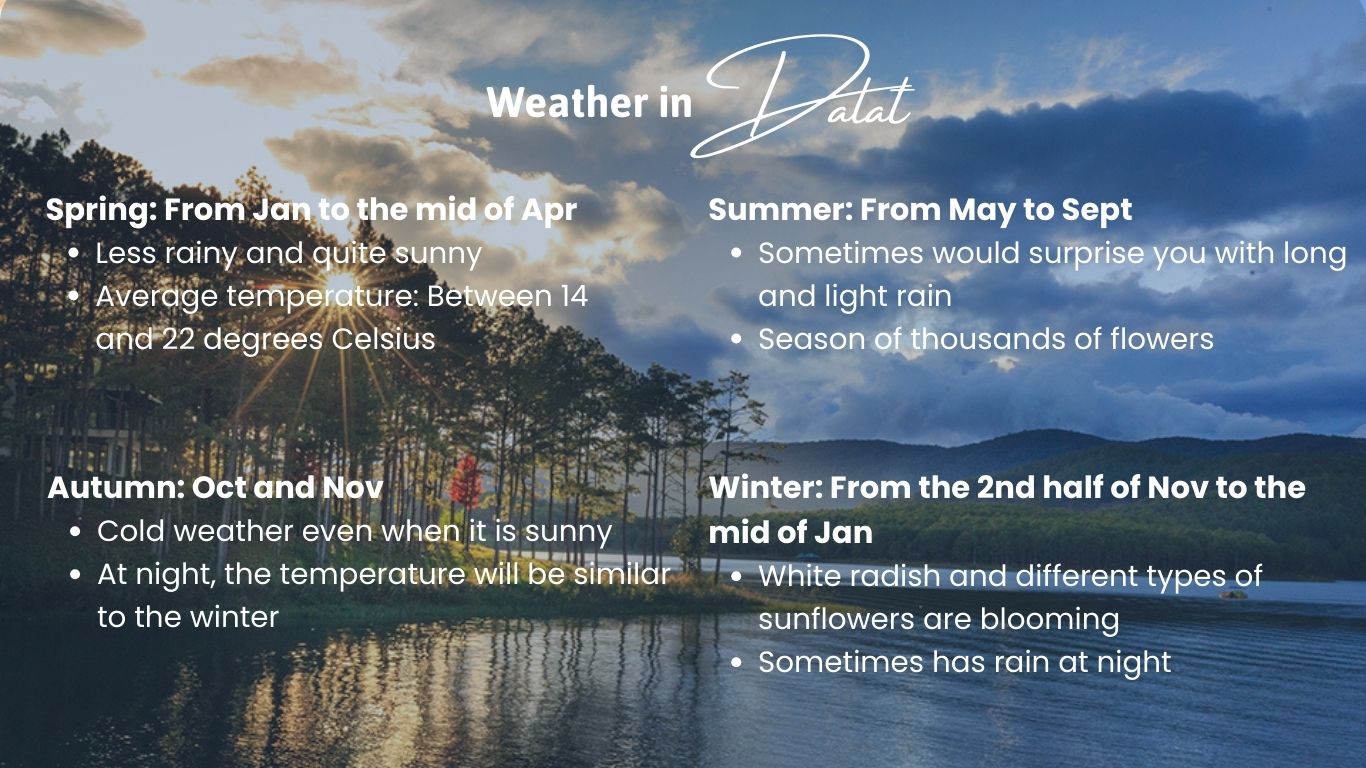 weather in dalat inforgraphic