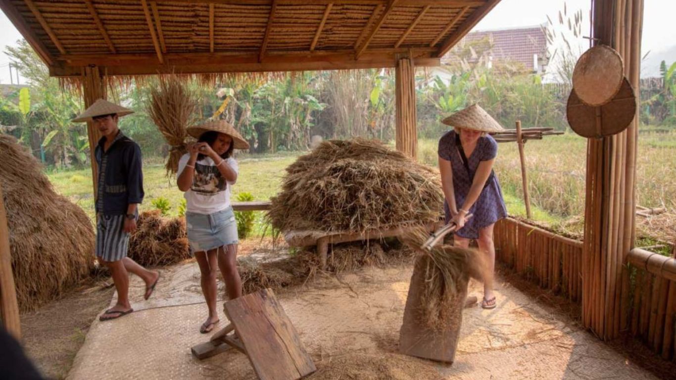 Activities in living land farm at luang prabang