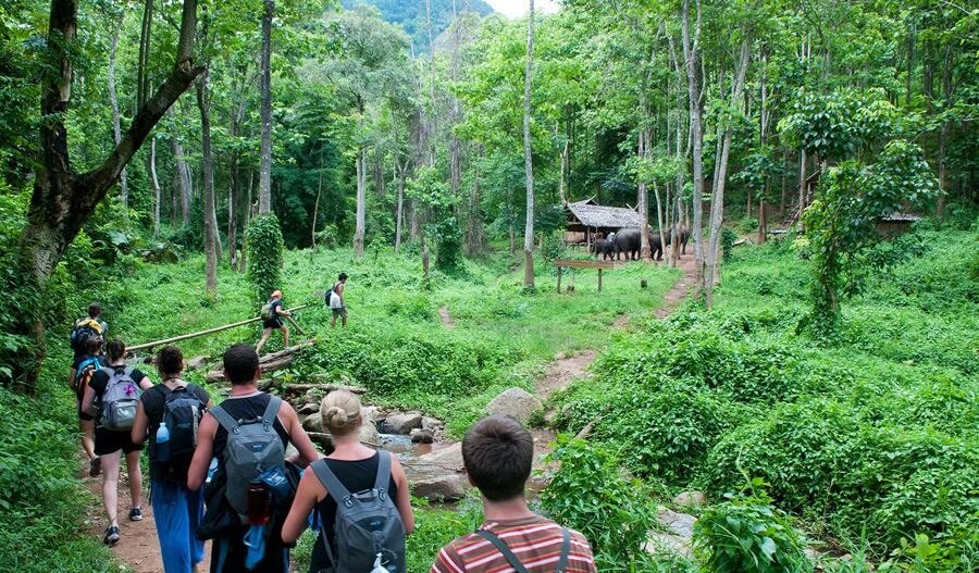 Cuc Phuong National Park: A Nature Lover’s Paradise from Ninh Binh