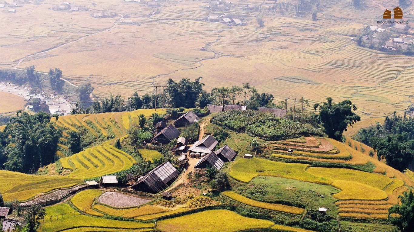 Muong Hoa Valley in Sapa