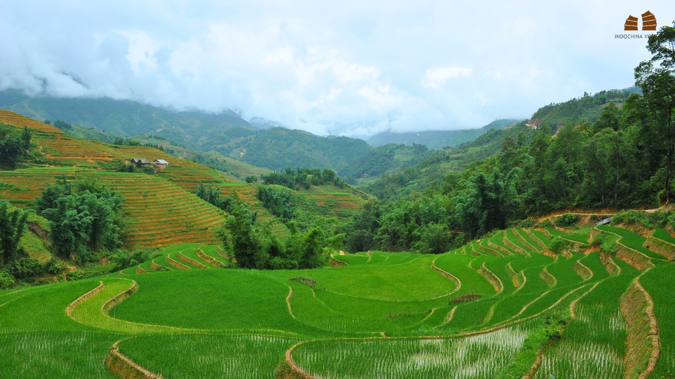 The beauty of the terraced fields and the valley's landscapes