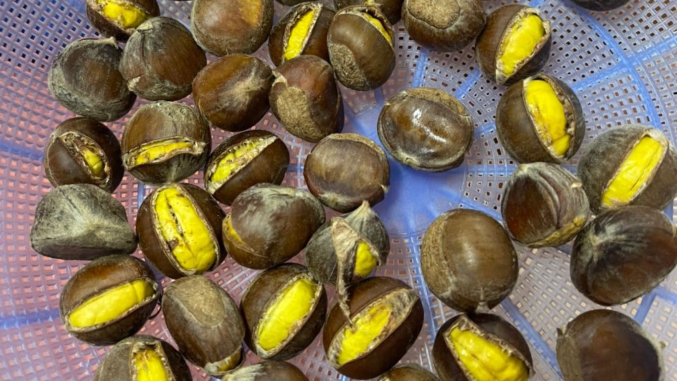 Roasted chestnuts from Cao Bang