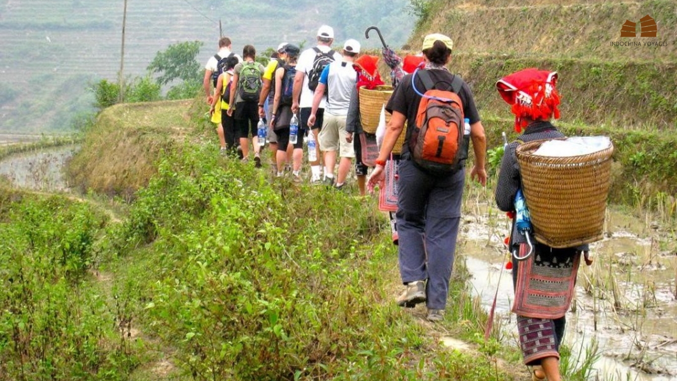 Enjoy trekking tour in Sapa