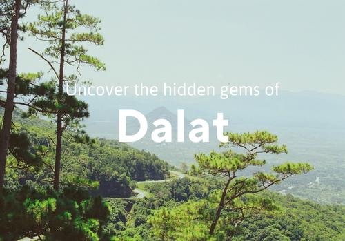 Escape the Crowds: Explore Dalat’s Hidden Gems with insider tips