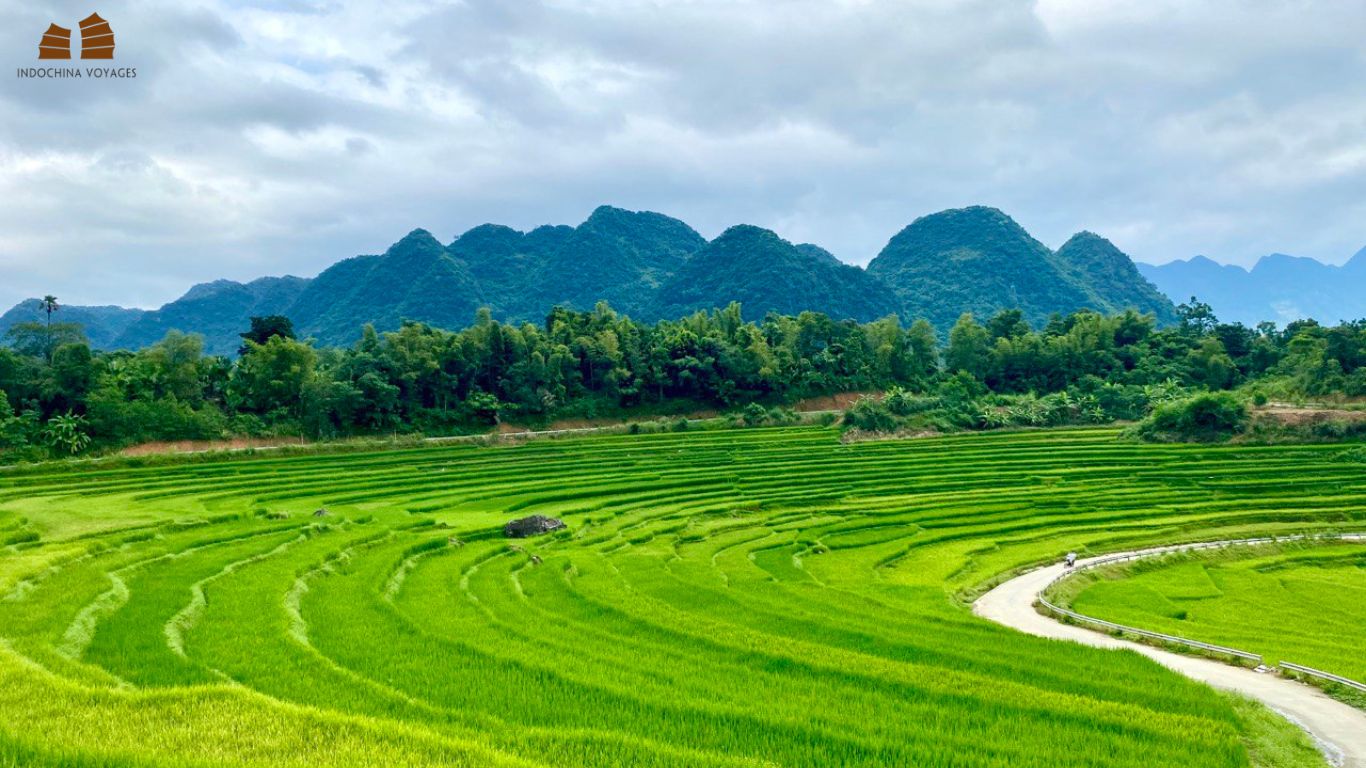 rice terraces at Don village, Pu Luong